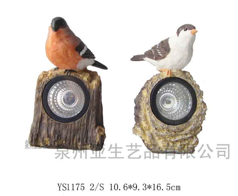 ����̫����