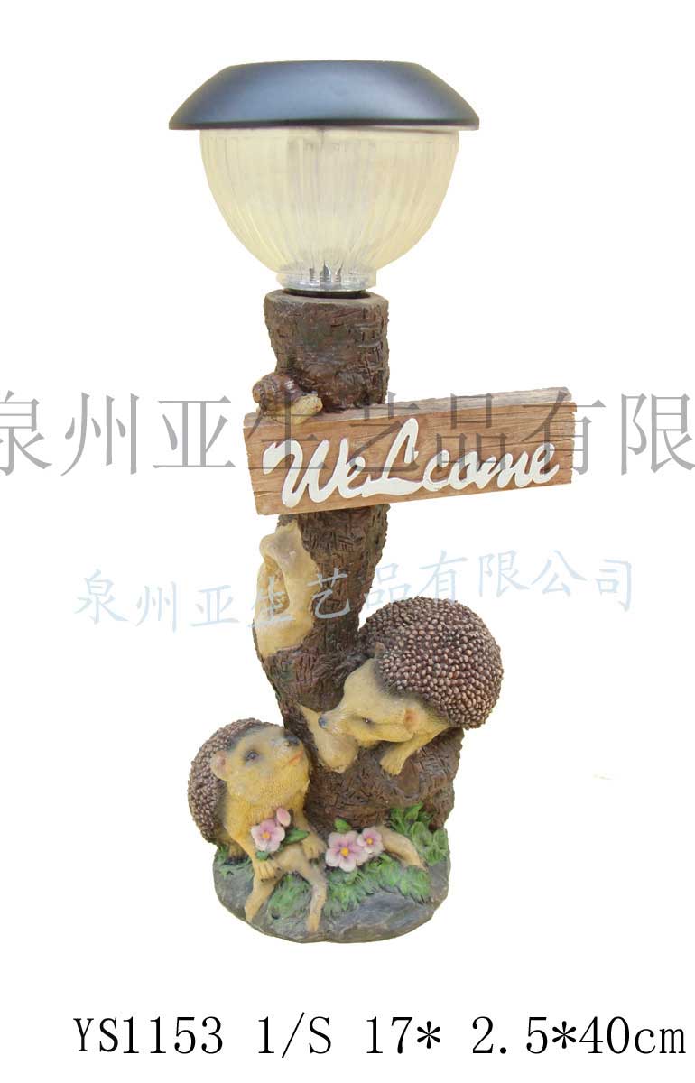 ����̫����