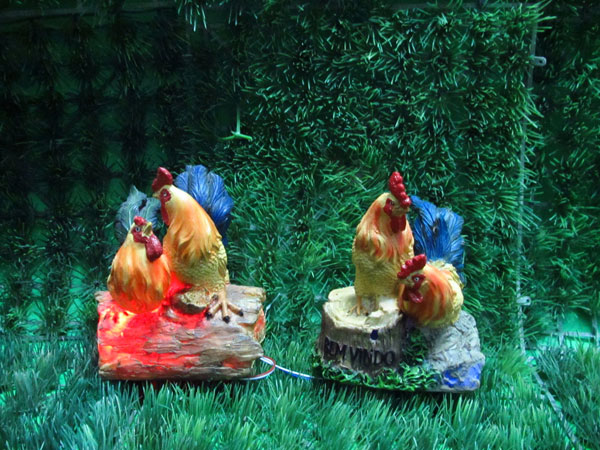 ̫����ϵ��YS0144